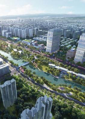 杨家河附属绿化提升工程